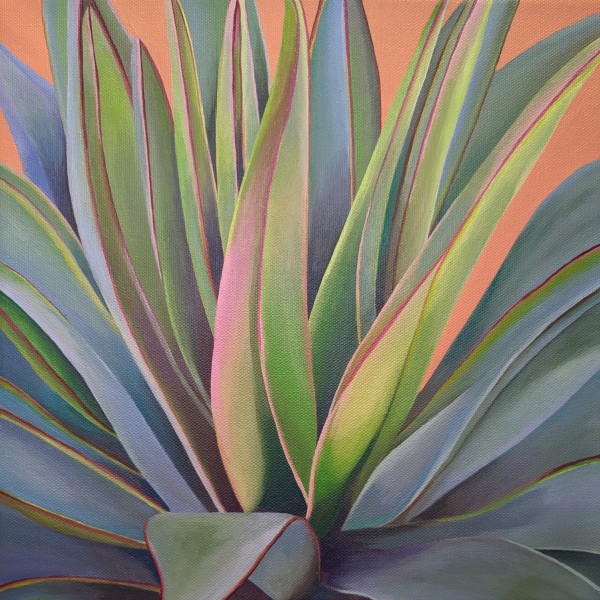 No. 93 Agave; Transformation by Renée Switkes
