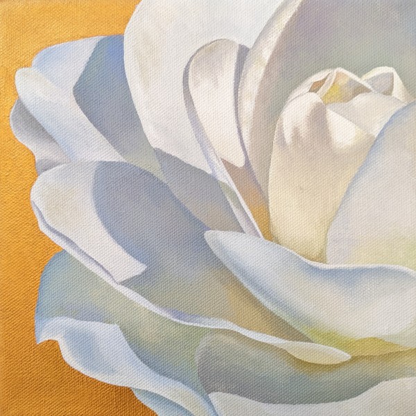 No. 98 Camellia: Adoration by Renée Switkes