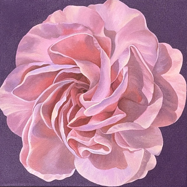 No. 123 Carnation - Sincere Heart by Renée Switkes