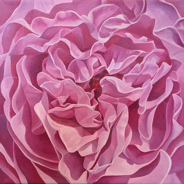 No. 126 Rose - A Heart Revealed by Renée Switkes
