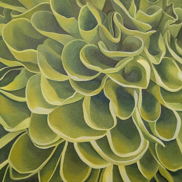 No. 131 Dahlia - Quiet Power by Renée Switkes