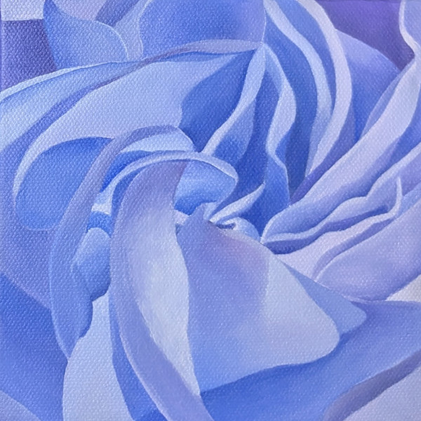 No. 143 Carnation - Twilight by Renée Switkes