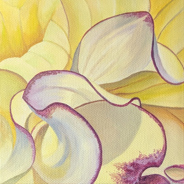 No. 144 Dahlia - Radiant Truth by Renée Switkes