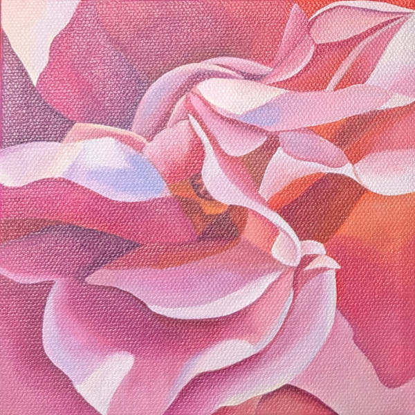 No. 145 Rose - Fantasy by Renée Switkes