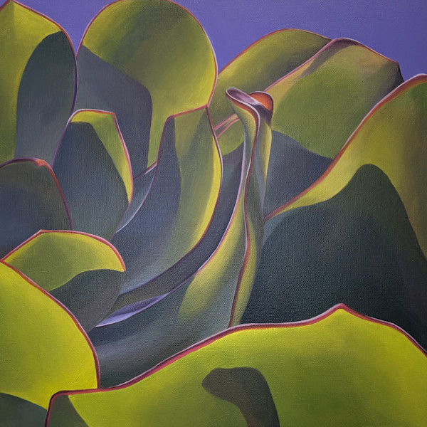 No. 149 Echeveria – Grace in Difference by Renée Switkes, Image 1.