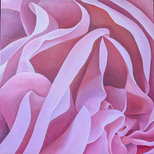 No. 153 Carnation - Grace by Renée Switkes, Image 1.