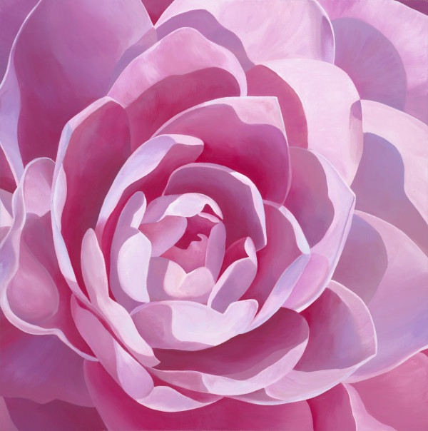No. 90 Camellia; Passion by Renée Switkes