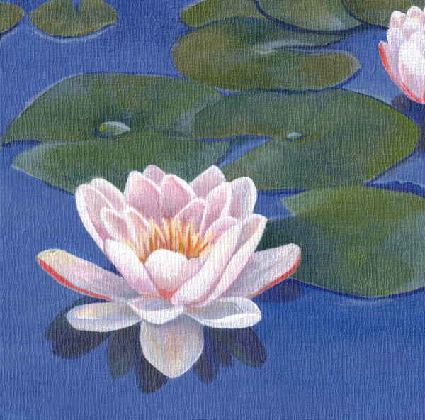 No. 148 Lotus – Reverie by Renée Switkes