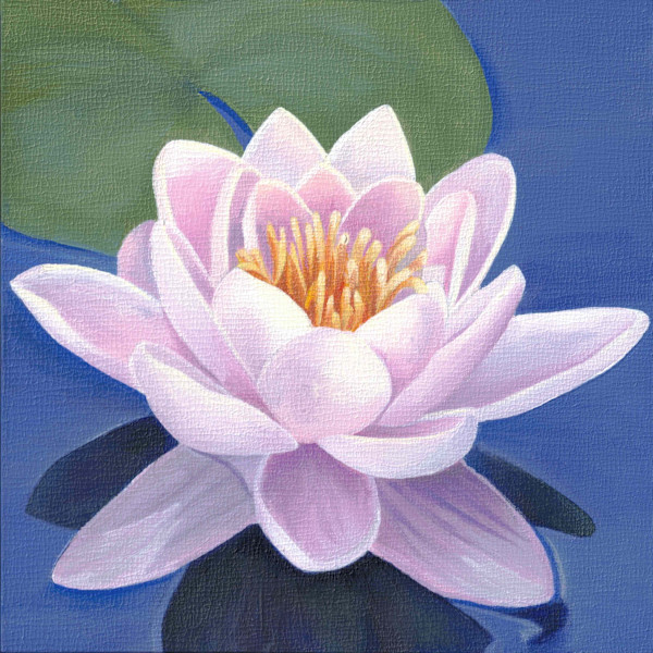 No. 147 Lotus – Harmony by Renée Switkes