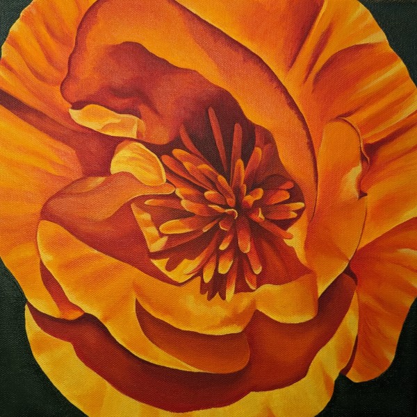 No. 107 California Poppy; Peace by Renée Switkes