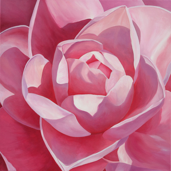 No. 73 Camellia; Yearning by Renée Switkes