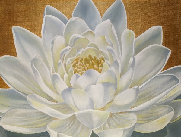No. 109 Lotus; Splendor by Renée Switkes