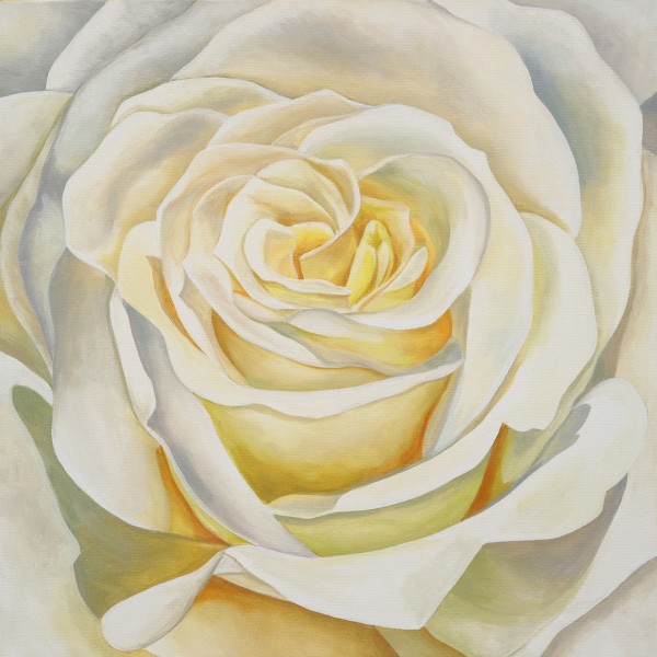 No. 72 Rose; Chosen by Renée Switkes