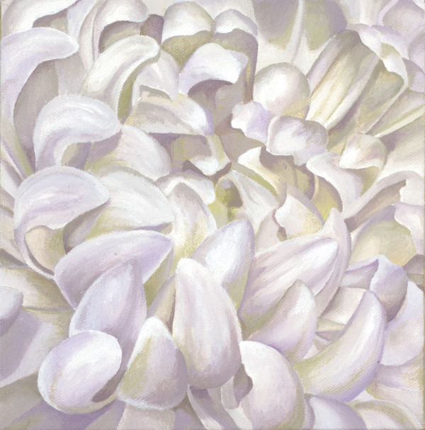 No. 96 Chrysanthemum; Remembrance by Renée Switkes