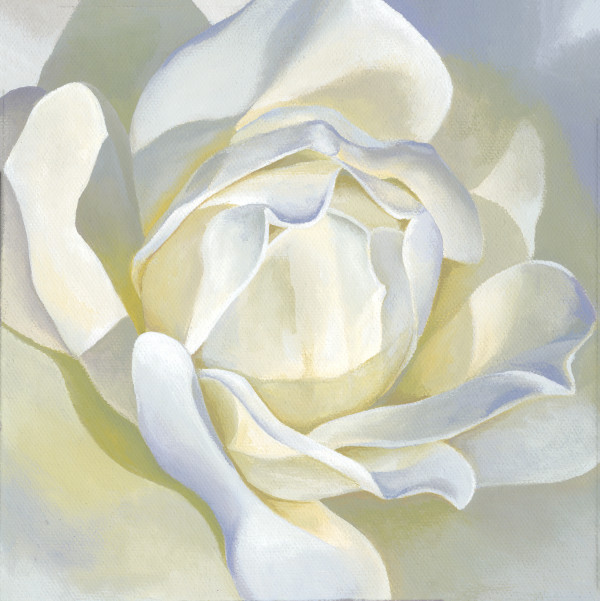 No. 103 Rose; Devoted by Renée Switkes
