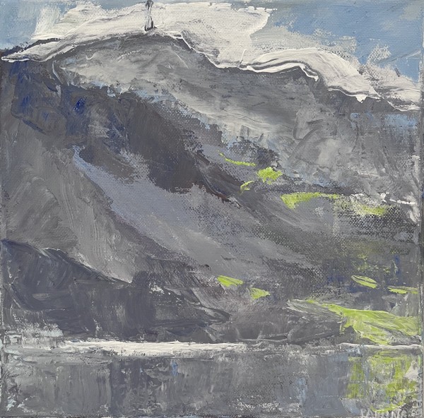 Mt Cargill by Pauline Bellamy