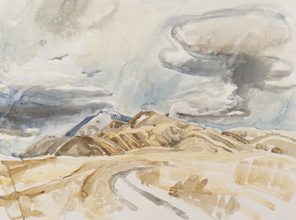 Central Otago by Pauline Bellamy