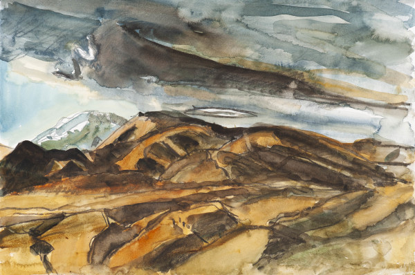 Central Otago I by Pauline Bellamy