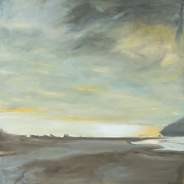 Heaphy Beach by Pauline Bellamy