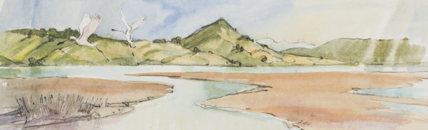 Hoopers Inlet Spoonbills