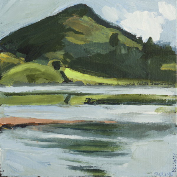 Otago Peninsula Landscapes VI