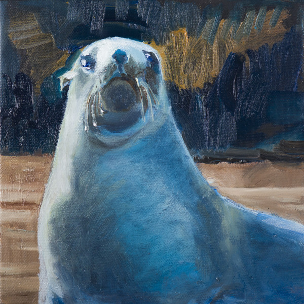 Sea Lion Pup II