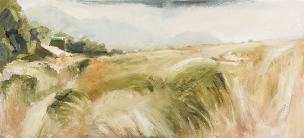 Gouland Downs hut by Pauline Bellamy