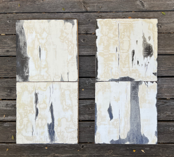 Excavations (diptych) by Eve Mero