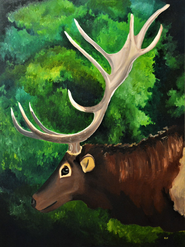Oklahoma Wildlife - Elk by Elizabeth Czaplinski