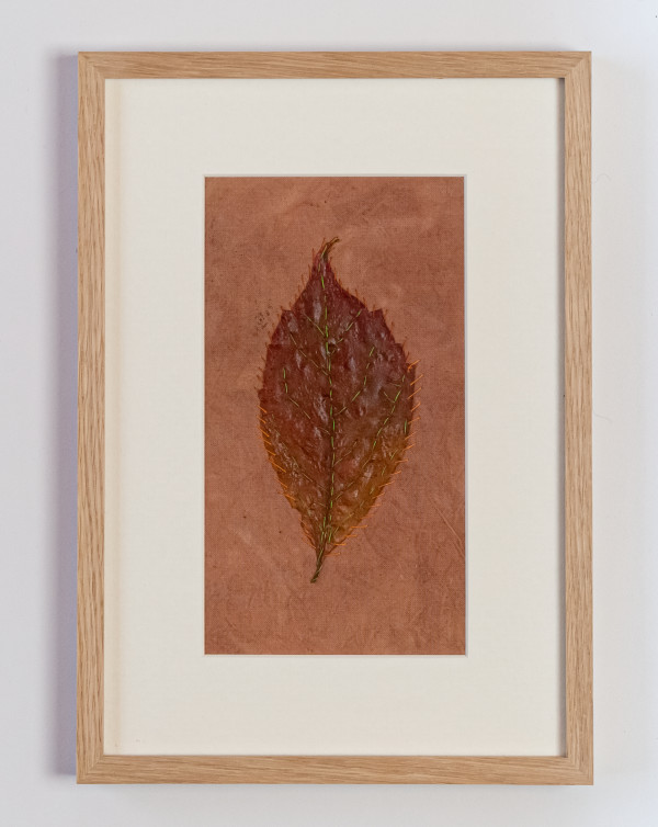 Leaf on Madder by Susan D'souza