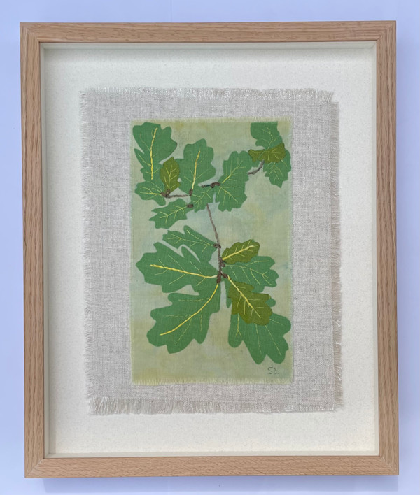Oak Tree Leaves by Susan D'souza