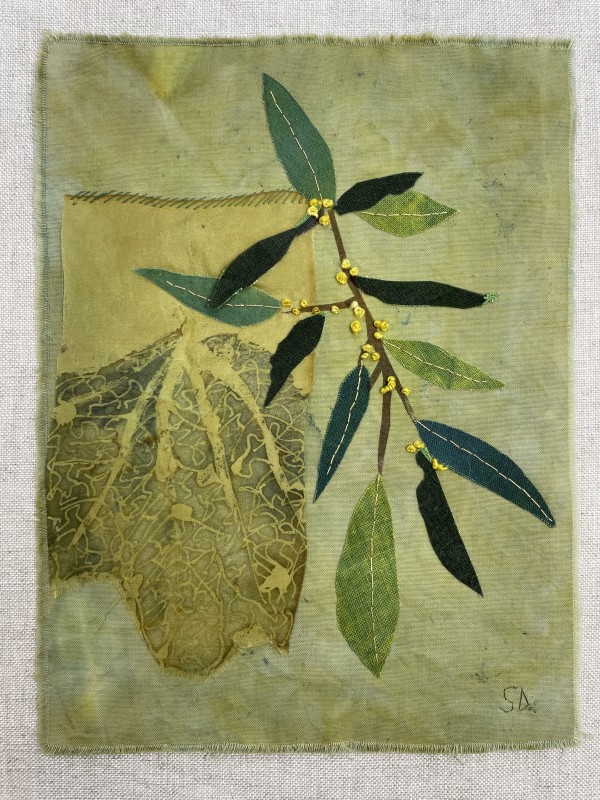 Laurel Tree Leaves by Susan D'souza