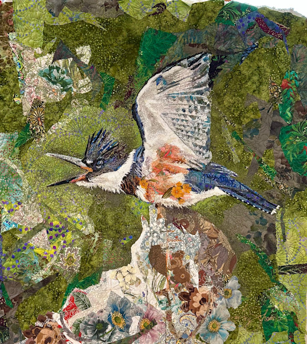 "Here I Come"  Belted Kingfisher by Susan Fay Schauer