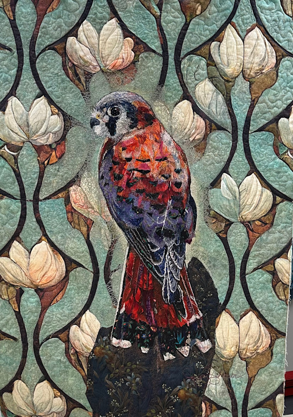 "Little Falcon"  American Kestrel (Falco sparverius) by Susan Fay Schauer