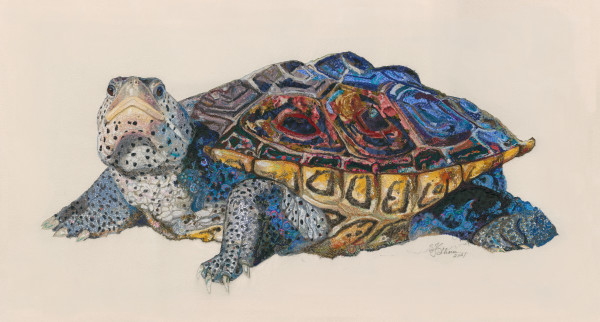 "Fear the Turtle"  Diamondback Terrapin (Malaclemys terrapin) by Susan Fay Schauer Fiber Artist