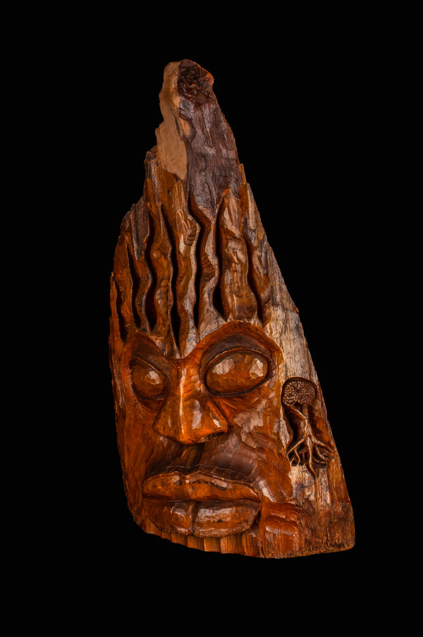 Inflamed by Knowledge of Self by Harold Murray