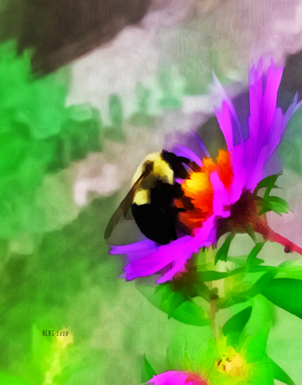 Bumbly Bee No. 4 by Barbara Storey