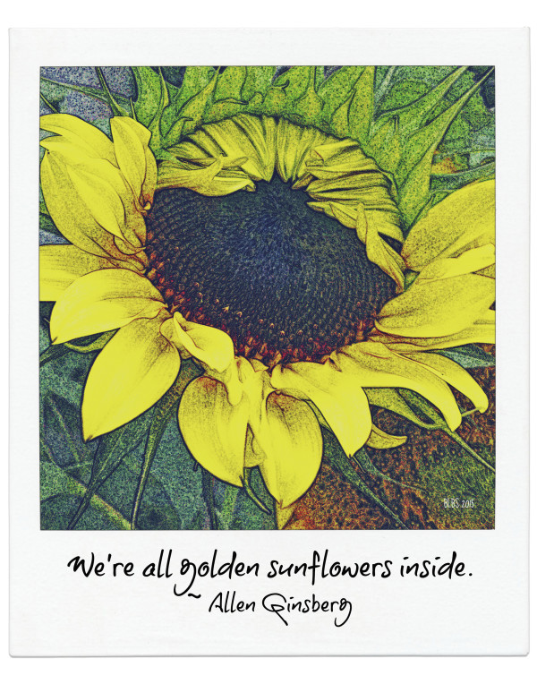 Golden Sunflowers by Barbara Storey