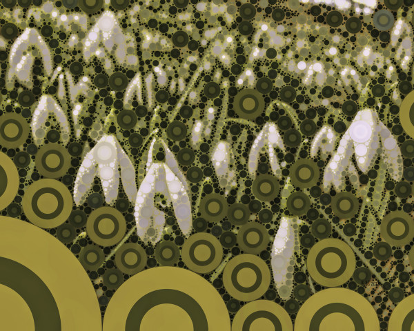 Snowdrops - Homage to Klimt