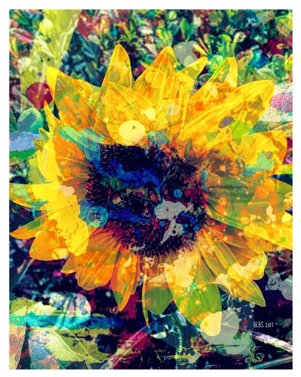 Sunflower Batik by Barbara Storey