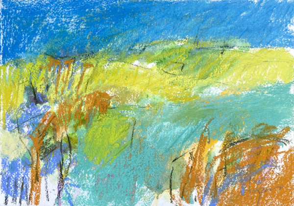 Headrtland meadow by Dorothy Fagan