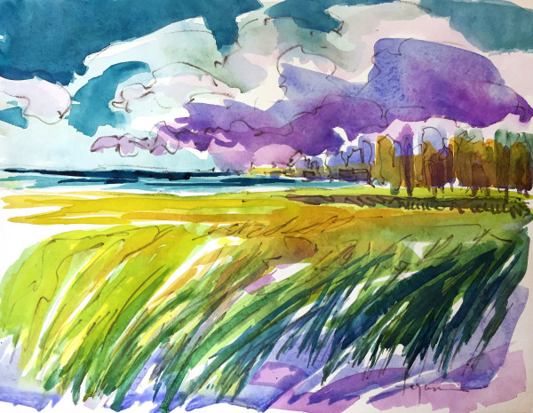 Heartland Marsh II by Dorothy Fagan