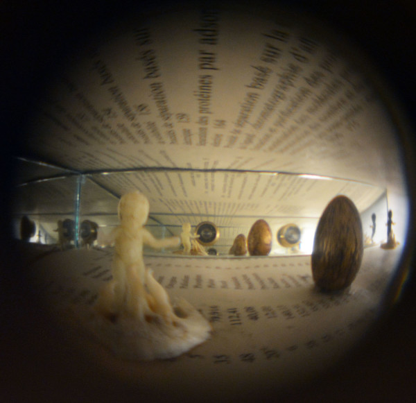 Lehninger: Biochemie