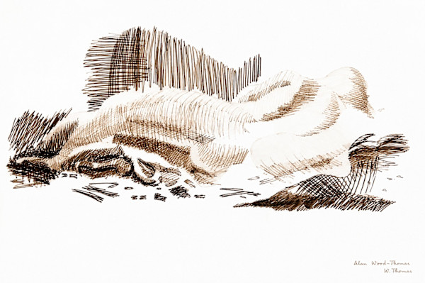 Drawing  80 by Alan Wood-Thomas, Image 1.