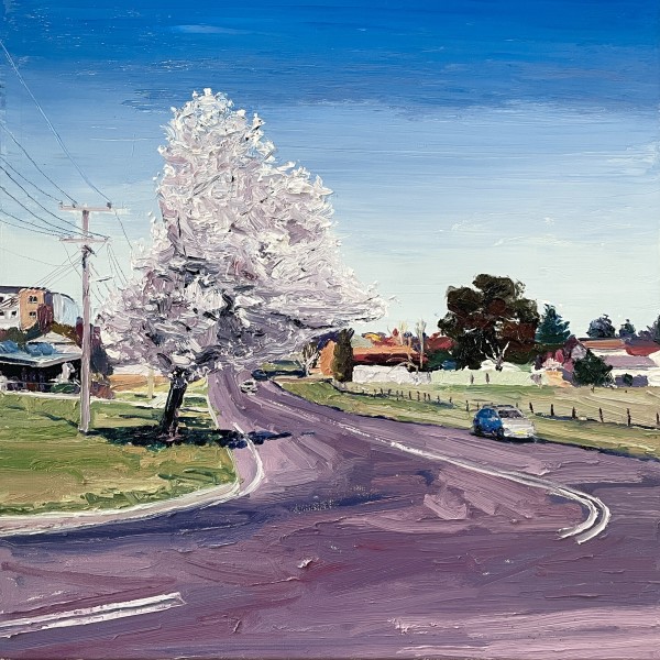 Blossoms in the morning sun on Morrisset Street by James Lyle
