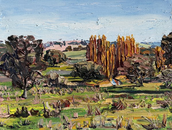 Poplars Outside Wattle Flat by James Lyle