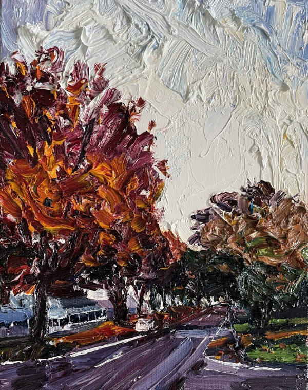 Afternoon Autumn glow, Morriset Street, Bathurst 2023 by James Lyle