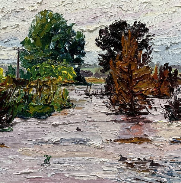 Pinks in the mid-November 22 floodwaters, Macquarie River, Bathurst by James Lyle