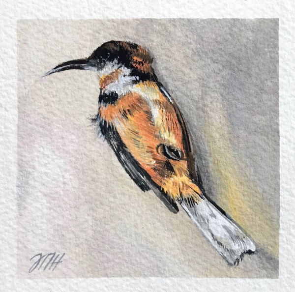 Little Bird by Melissa Hartley