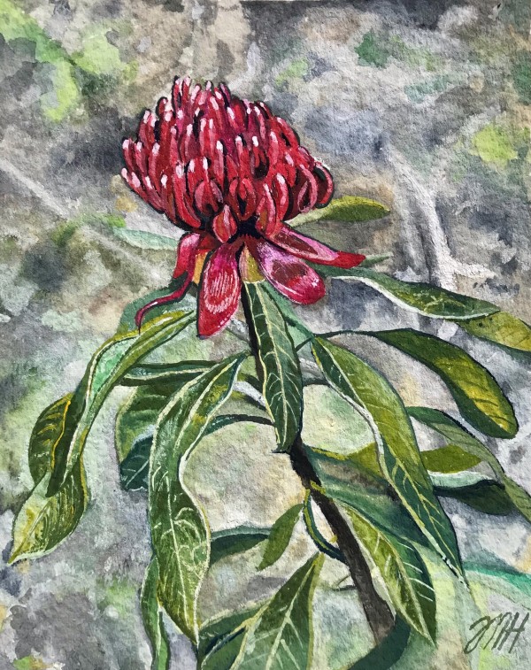 Red beauty by Melissa Hartley